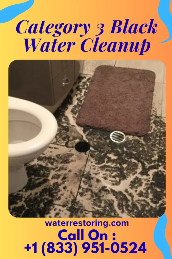 Category 3 Black Water Cleanup in Benton, PA