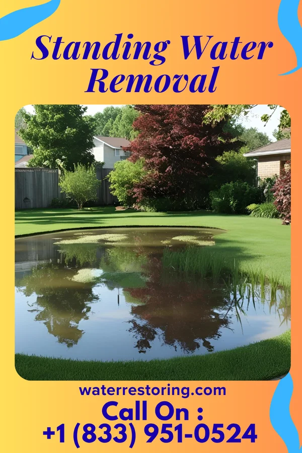 Standing Water Removal in Benton, PA